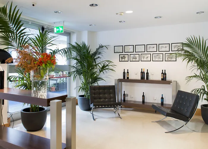 Excelsior - By Farace Bari